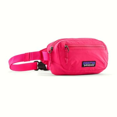 【patagoniaパタゴニア】テラヴィア・ミニ・ヒップ・パック 1L・49448