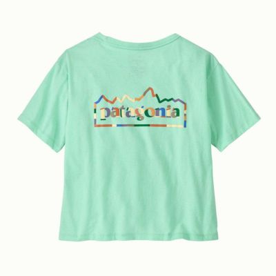 【patagonia/パタゴニア】ウィメンズ・ユニティ・フィッツ・イージーカット・レスポンシビリティー・37769